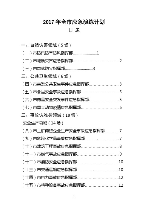 2017年全市应急演练计划