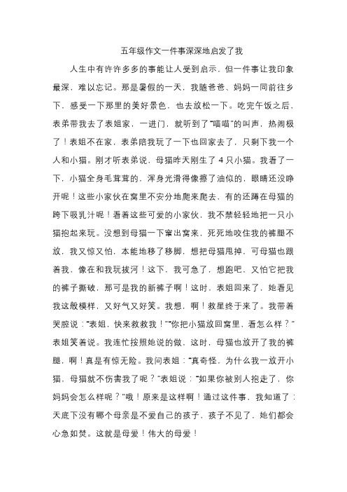 五年级作文一件事深深地启发了我