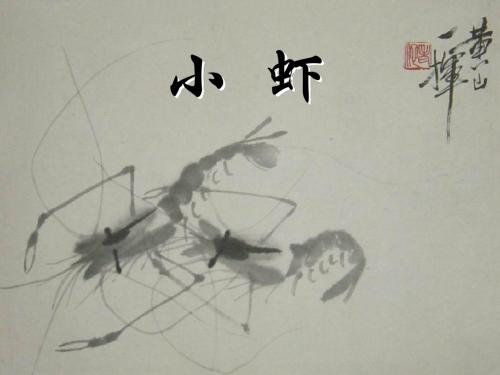 【北师大】三年级下册《小虾》教学课件