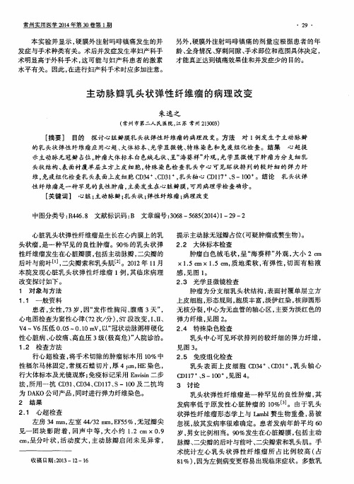 主动脉瓣乳头状弹性纤维瘤的病理改变