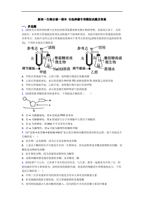 新高一生物必修一期末 非选择题专项模拟试题及答案