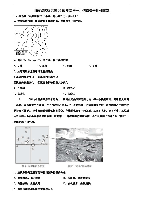 山东省达标名校2018年高考一月仿真备考地理试题含解析