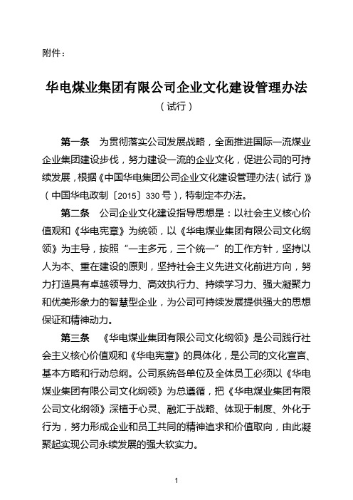 华电煤业集团有限公司企业文化建设管理办法(试行)