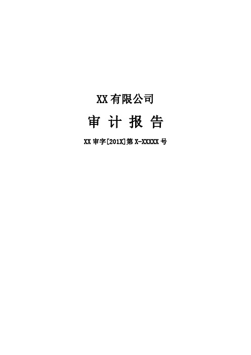 中央企业财务报表审计报告及附注模板