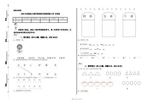 2020年实验幼儿园托管班综合检测试题C卷 含答案