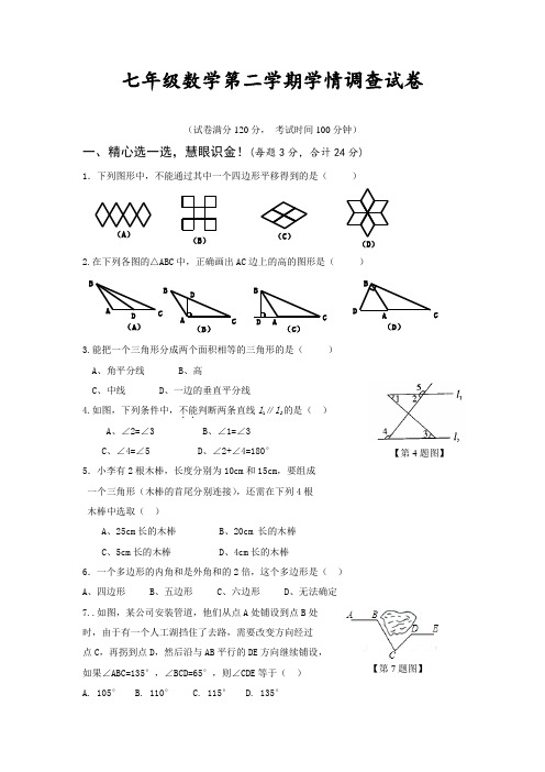 人教版七年级数学第二学期学情调查试卷(含答案)