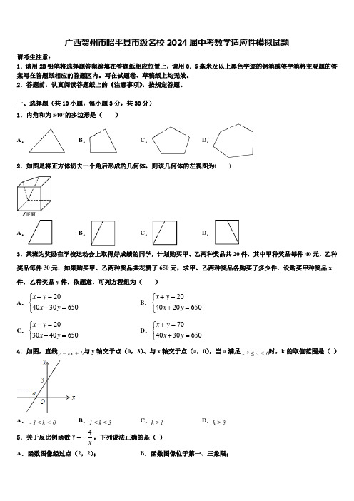 广西贺州市昭平县市级名校2024届中考数学适应性模拟试题含解析