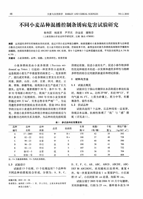 不同小麦品种混播控制条锈病危害试验研究