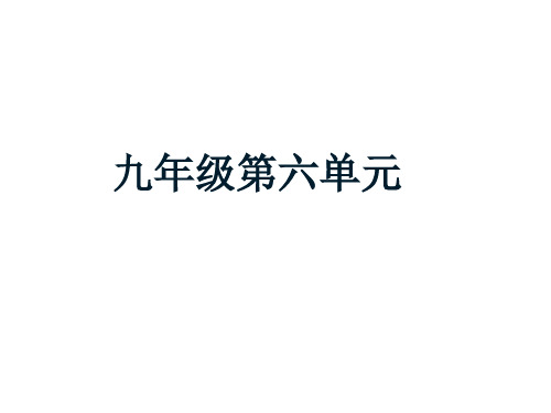 Unit 6单元重点单词讲解 人教版九年级英语全册