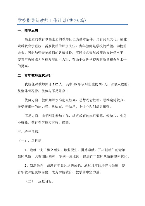 学校指导新教师工作计划(共26篇)