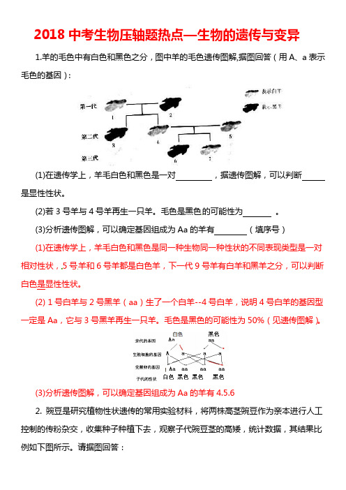 2018中考生物压轴题热点—生物的遗传与变异