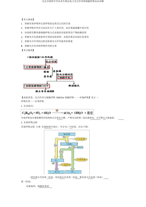 北京市第四中学高考生物总复习光合作用和细胞呼吸知识讲解