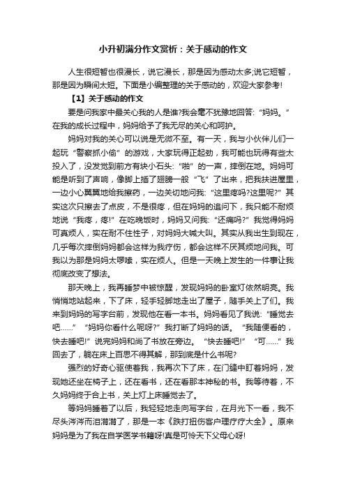 小升初满分作文赏析：关于感动的作文