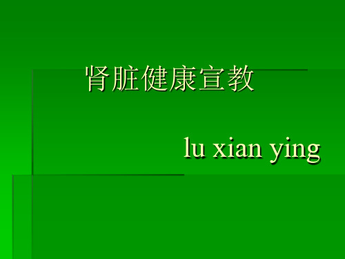 肾脏健康宣教资料