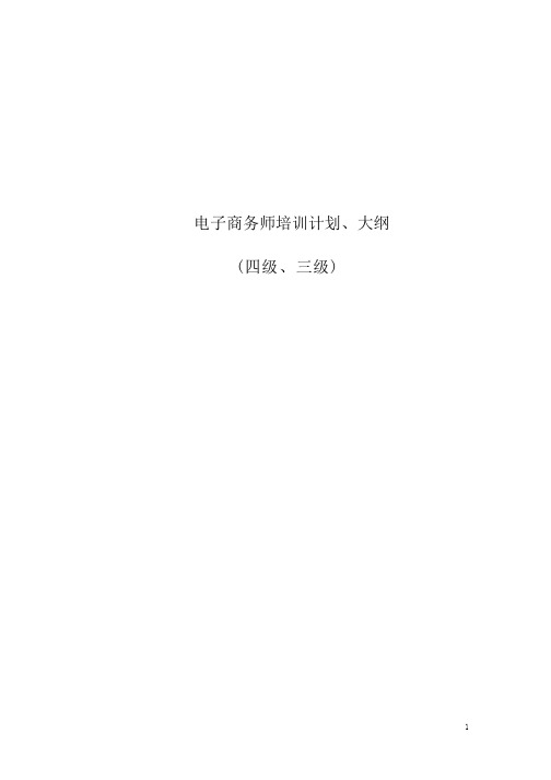 电子商务师教学计划