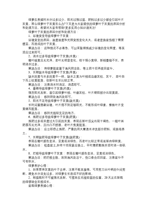 绿萝叶子发黄的原因分析和处理方法