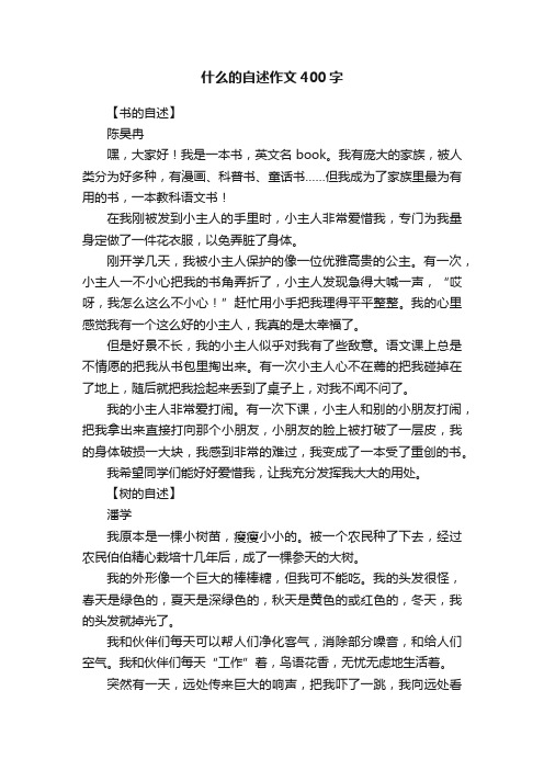 什么的自述作文400字