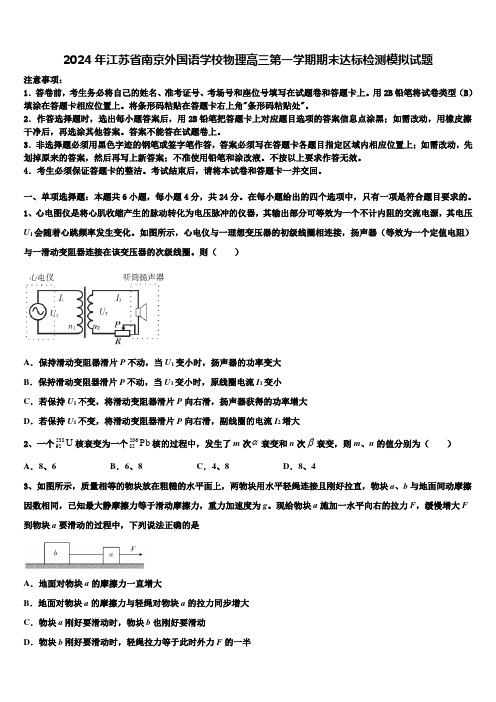 2024年江苏省南京外国语学校物理高三第一学期期末达标检测模拟试题含解析