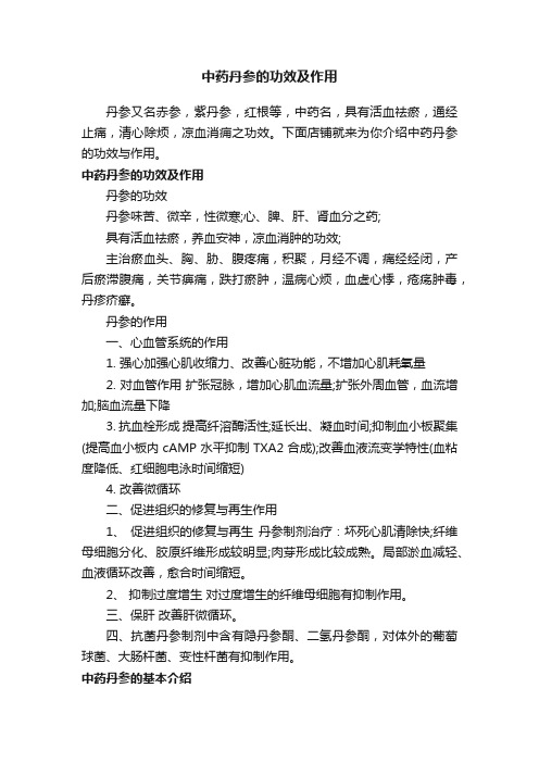 中药丹参的功效及作用