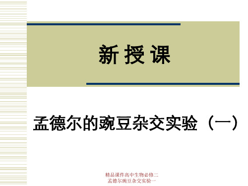 精品课件高中生物必修二孟德尔豌豆杂交实验一