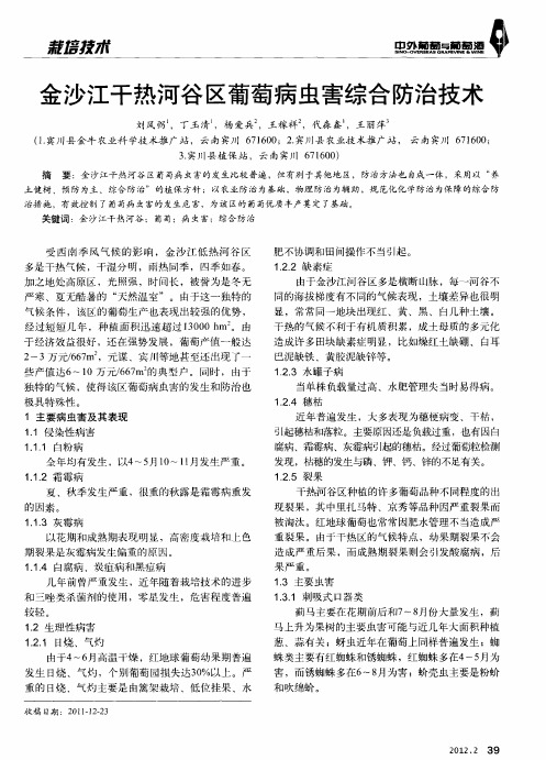 金沙江干热河谷区葡萄病虫害综合防治技术