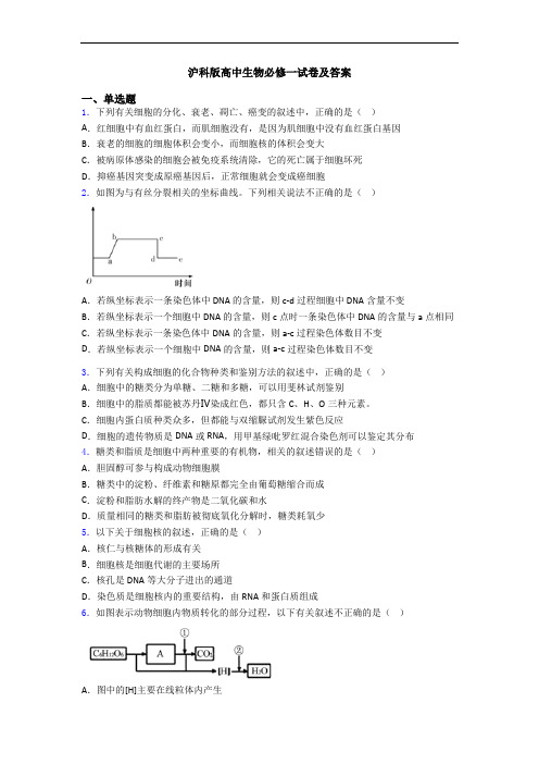 沪科版高中生物必修一试卷及答案