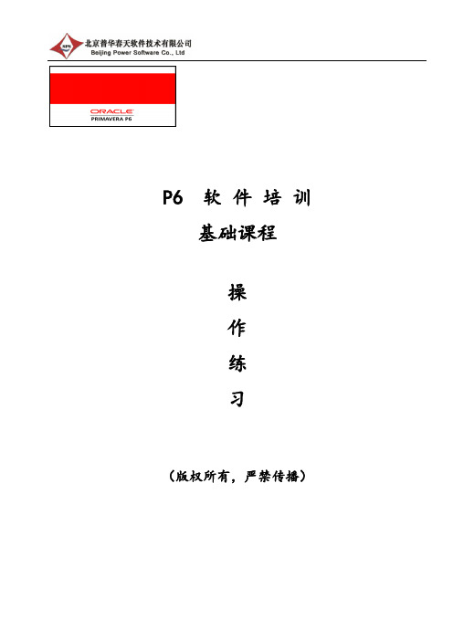 P6软件实用操作练习讲解