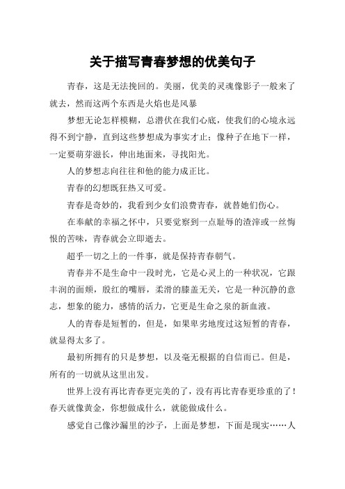 关于描写青春梦想的优美句子
