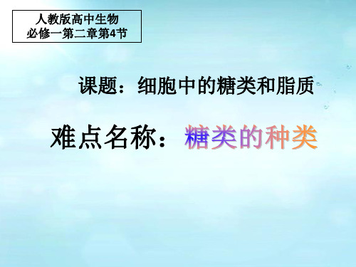 高中生物必修一课件-2.4 细胞中的糖类和脂质 -人教版