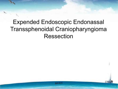 内镜经鼻蝶颅咽管瘤切除术  ppt课件