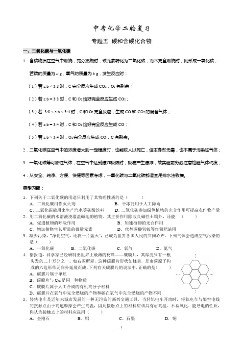 中考化学二轮复习 专题五 碳和含碳化合物