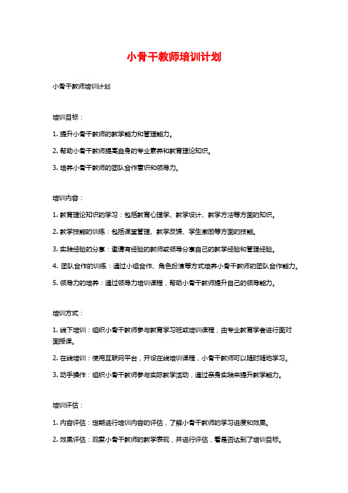 小骨干教师培训计划