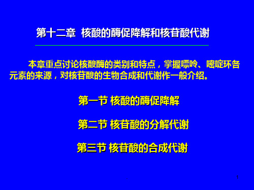 第十二章--核酸的酶PPT课件