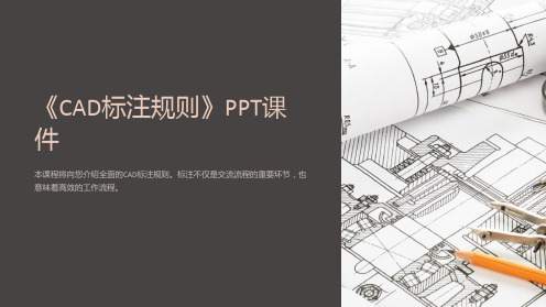 《CAD标注规则》课件