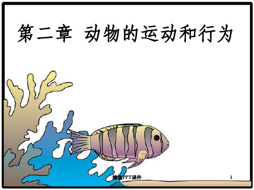 动物的运动ppt课件