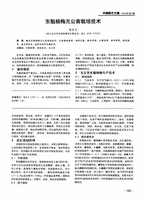 东魁杨梅无公害栽培技术