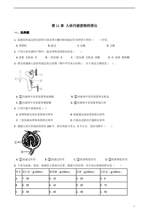 2019年北师大版七年级下册生物 第11章 人体代谢废物的排出 单元练习题(含答案)