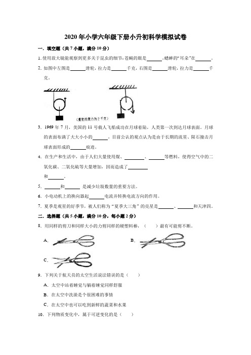 六年级下册科学试题  小升初科学模拟试卷7  人教版 (解析版)