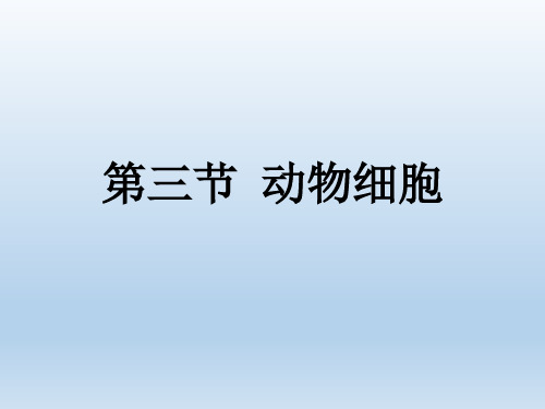 人教版七年级生物上册2.1.3动物细胞(教学课件)