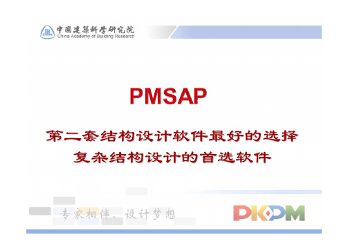 第二套设计软件_PMSAP