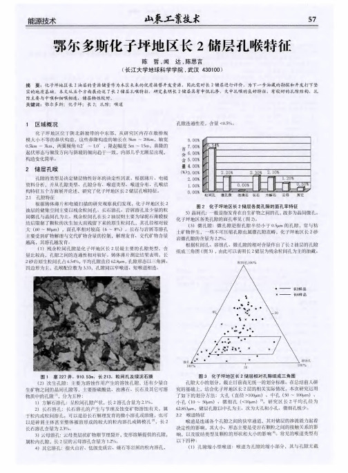 鄂尔多斯化子坪地区长2储层孔喉特征