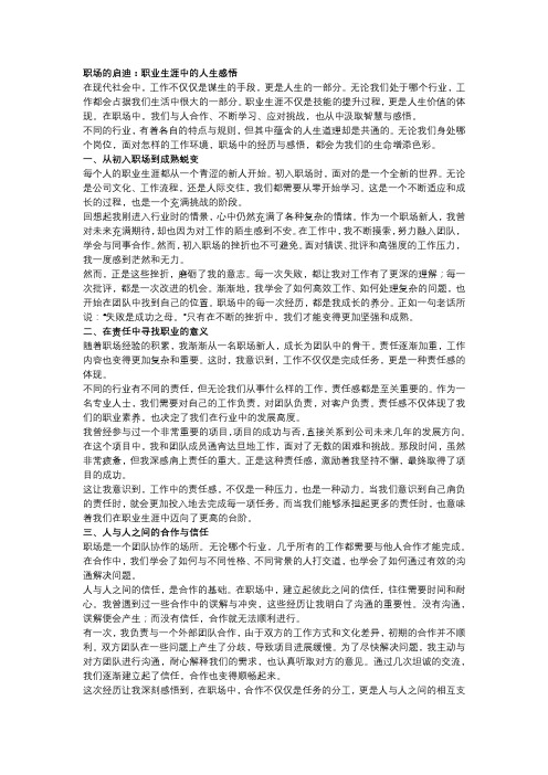 职场的启迪：职业生涯中的人生感悟