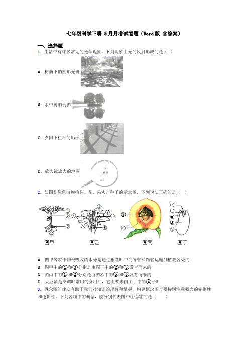 七年级科学下册 5月月考试卷题(Word版 含答案)