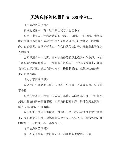 无法忘怀的风景作文600字初二