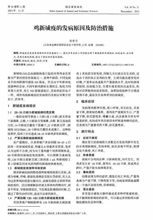 鸡新城疫的发病原因及防治措施