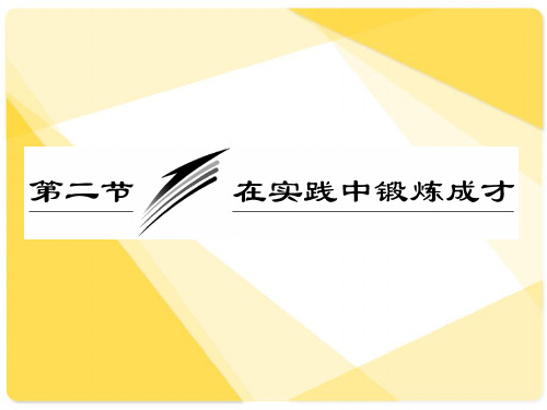 高三政治总复习课件：专题：在实践中锻炼成才