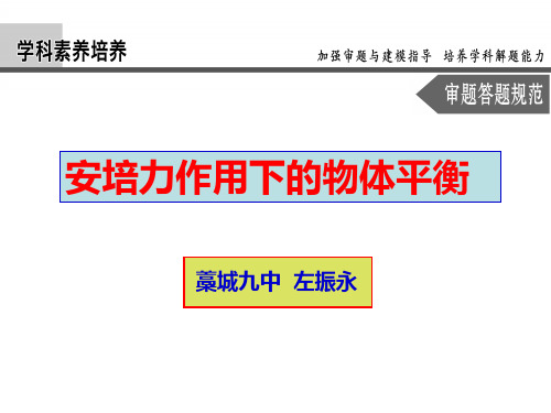 安培力作用下的物体平衡课件