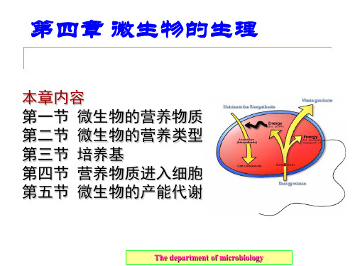 环境工程微生物学-微生物的生理