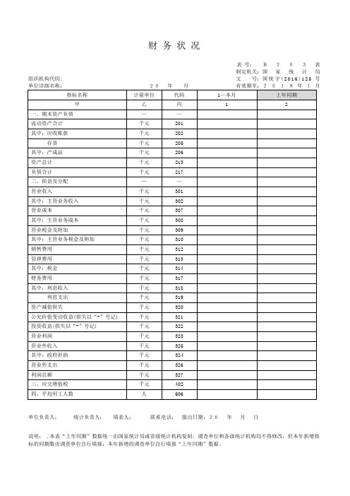 B203-1财务状况