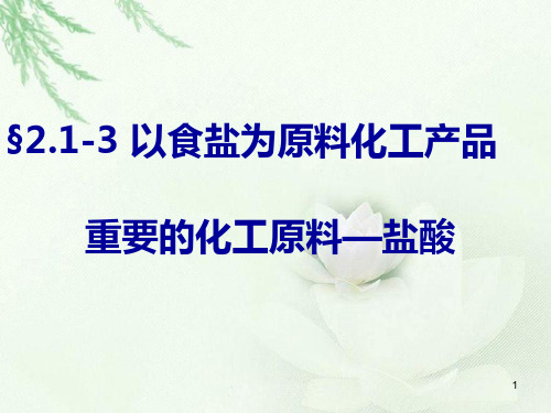 高一化学213盐酸PPT课件